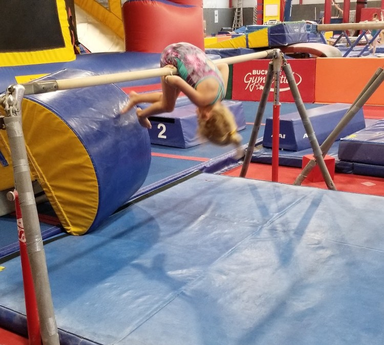 Buckeye Gymnastics (Westerville,&nbspOH)